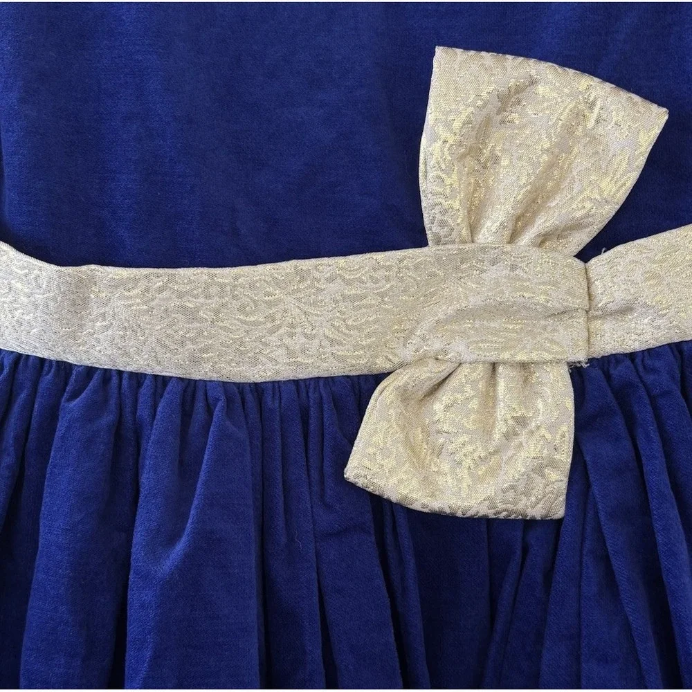 Gymboree blue velvet